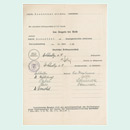 Stamped form, filled out by typewriter, with numerous signatures by examiners and teachers
