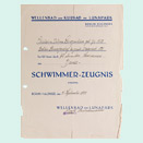 Form filled out by hand with the blue letterhead of the Luna Park Wave Pool and Spa