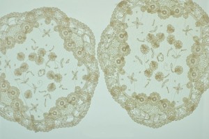 lace plate-mats