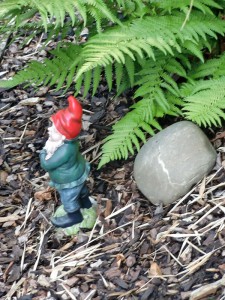 A garden gnome, fern and a stone
