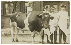 Schwarz-weiß Fotografie: Ein kleiner Junge auf einem Stier