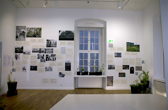 potted plants, above them photos and texts mounted on the wall
