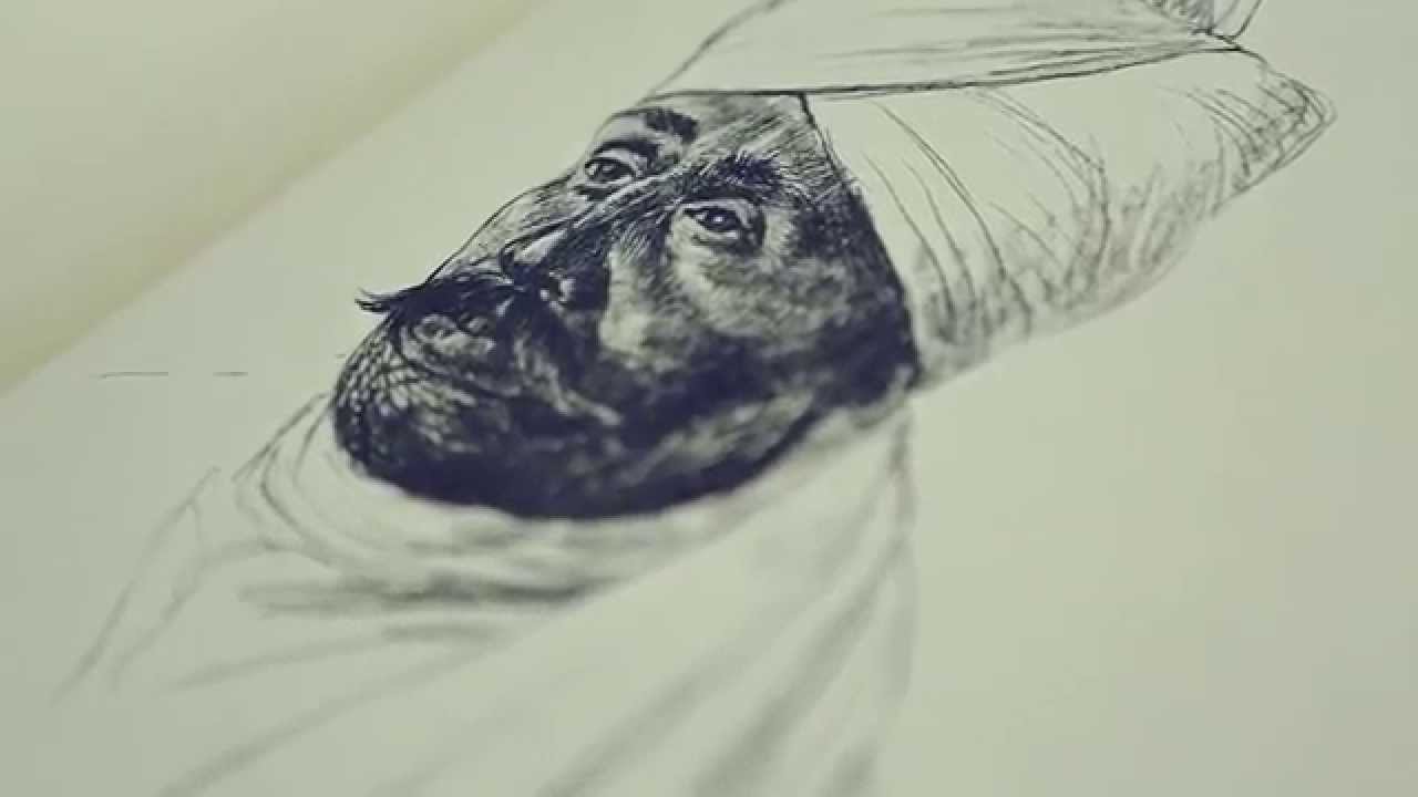Bleistiftzeichnung eines Mannes mit Turban und Schnauzbart.