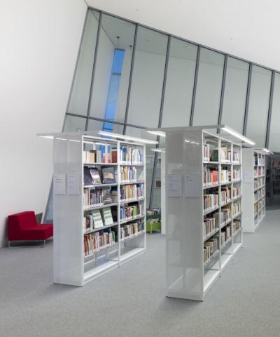 Bookshelves lined up in a row with a large window front in the background.