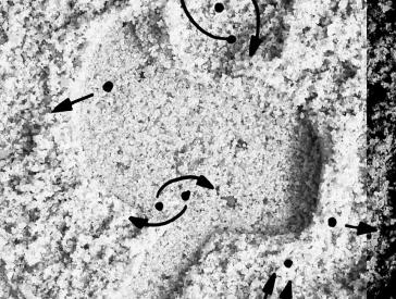 Black and white image of a section of sand with Hebrew letters, superimposed by painted dots and arrows