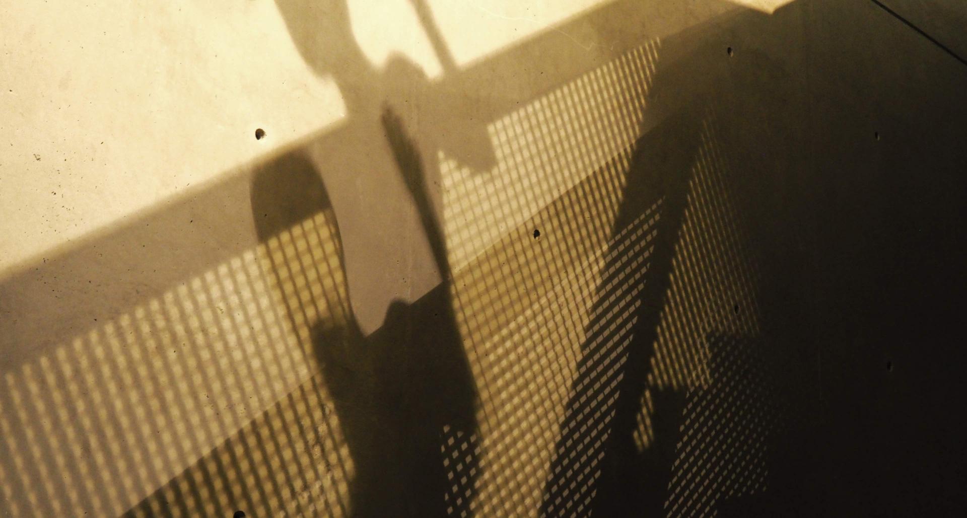 The shadow of a person on a wall.