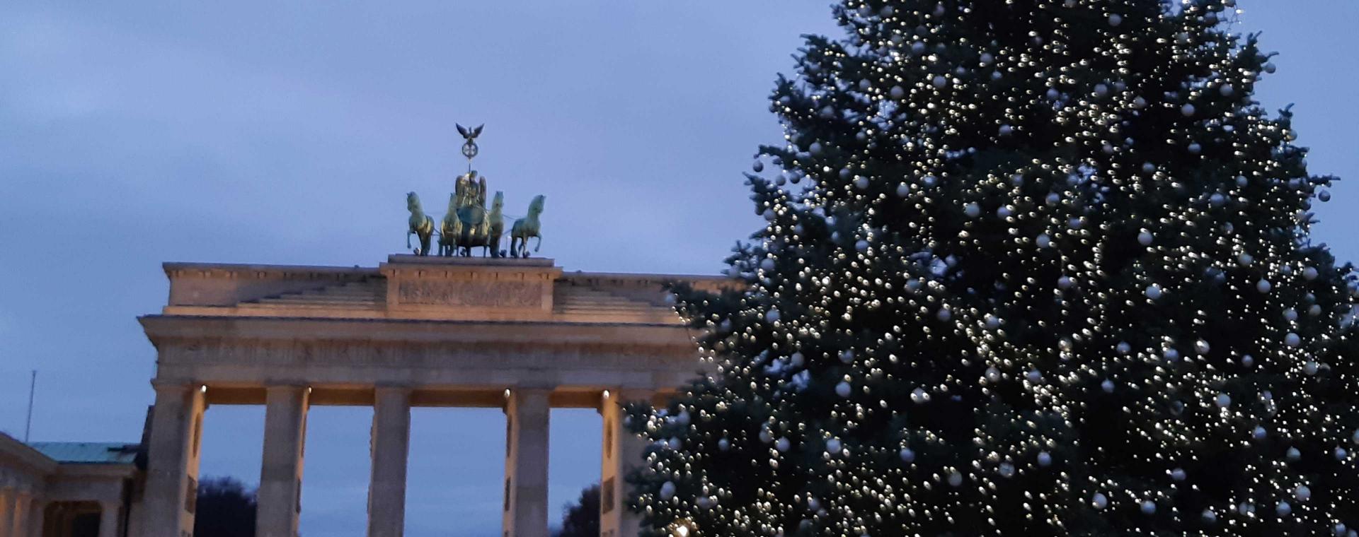 Weihnachtsbaum auf dem Pariser Platz, im Hintergrund das angeleuchtete Brandenburger Tor