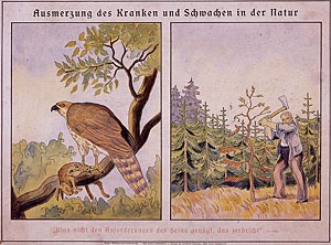 Farbige Illustration (Raubvogel auf der linken, Mann mit Axt, der einen Baum fällt auf der rechten Seite)