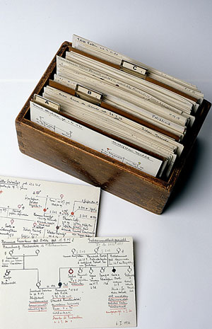Genetic information files belonging to the institution in Alsterdorf