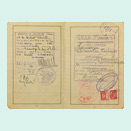 Open passport with handwritten entries and adhesive and ink stamps.