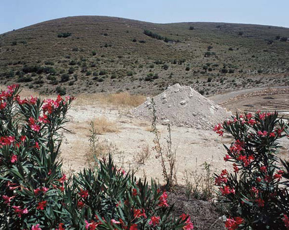 Igael Shemtov: Landscape with Castor Oil Plant no.10