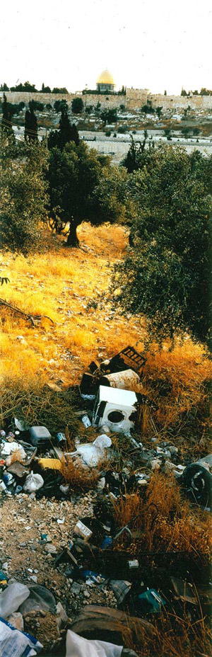 Wim Wenders: Jerusalem Seen from the Mount of Olives