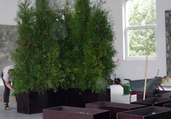 Töpfe mit Pflanzen im Atelier der Künstler