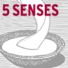 5 Senses