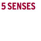 5 Senses