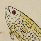 Fish, detail