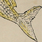 Fish, detail