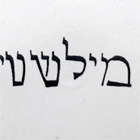 Teller mit jiddischer Aufschrift, Ausschnitt