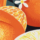 Poster with oranges, detail