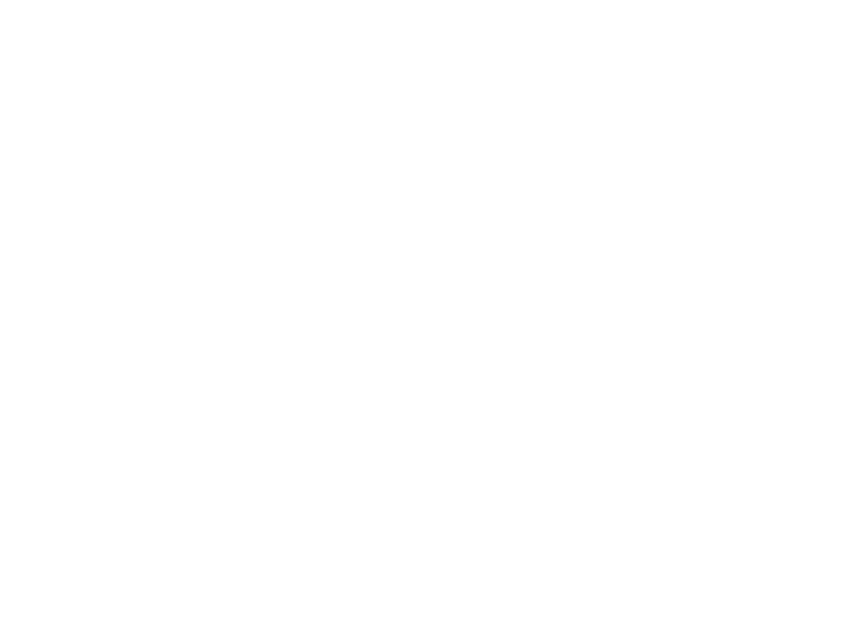 Weiße Schrift: SCHOA