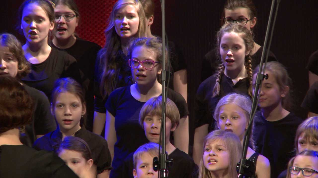 Photo of the children's and youth choir Alla polacca.