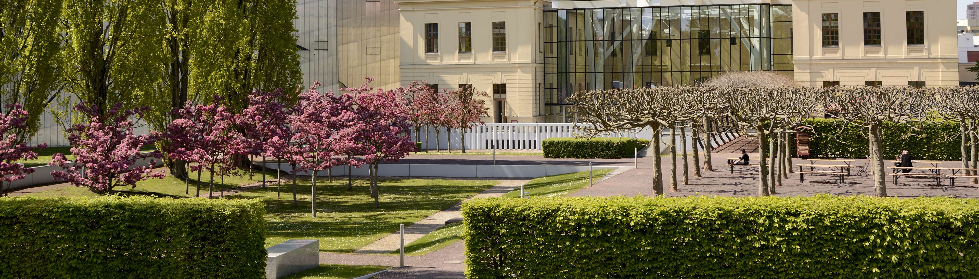Our Museum Gardens | Jewish Museum Berlin