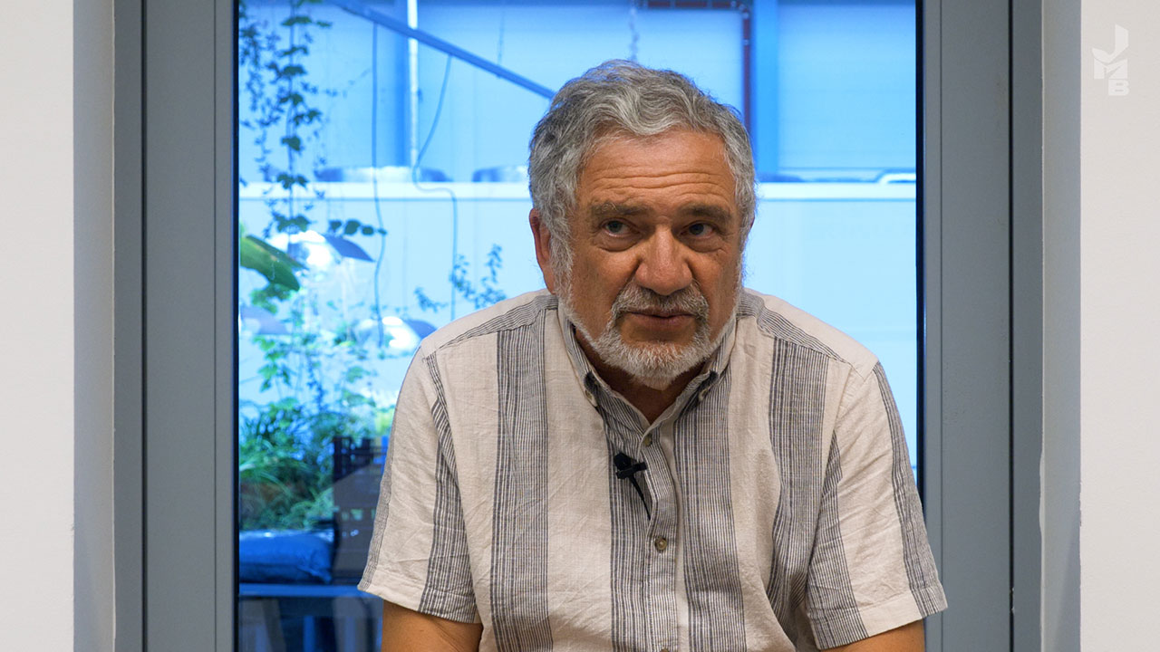 A man with gray hair and a short gray beard sits in front of a window behind which an indoor garden can be seen.