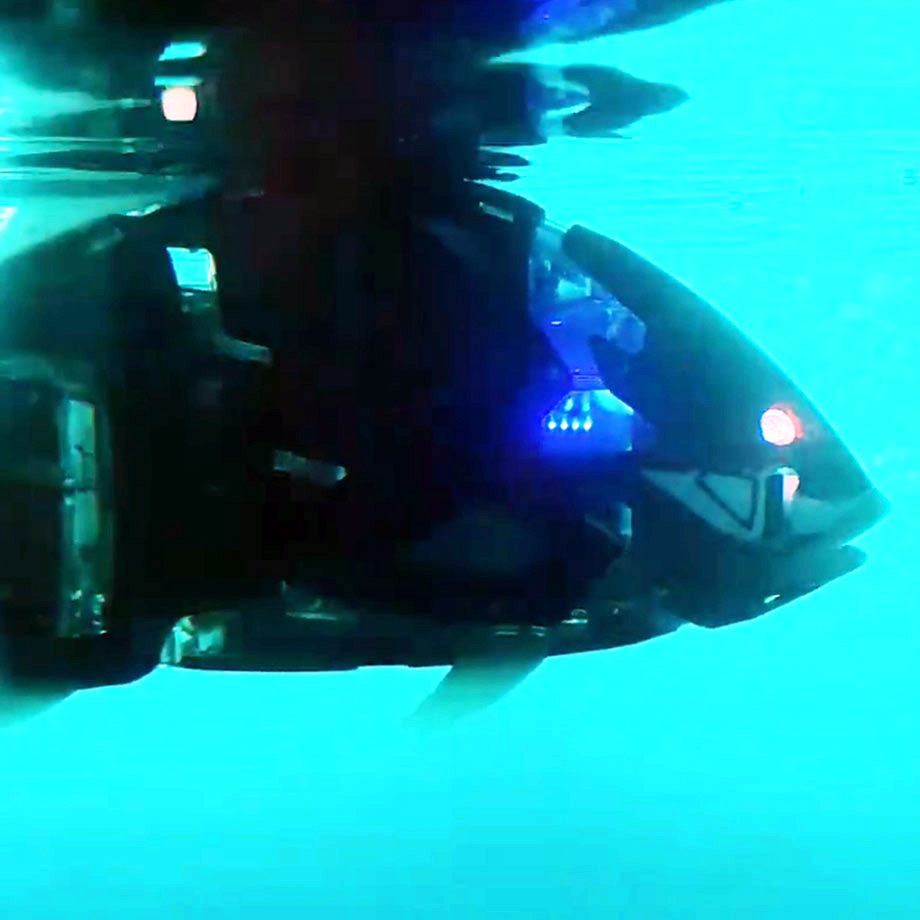 Video still: robot fish swimming through water.