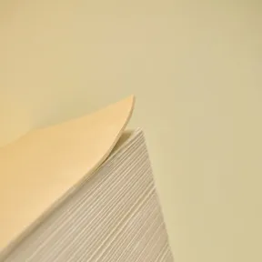 Detailaufnahme der Installation mit hölzernen Buchskulpturen in Gelb.