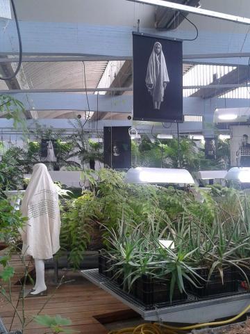 Plateau plant beds inside a large hall, in between them mannequins wearing fashion designs, and above them large-scale photographs