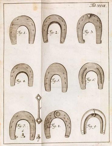 Figure with nine illustrated horseshoes of different shapes