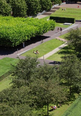 The museum garden from above.