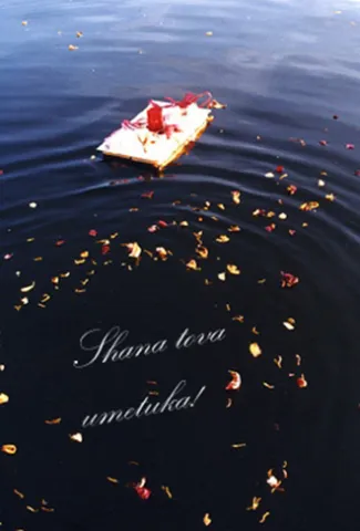 Blüten und Papierschiff treiben im Wasser