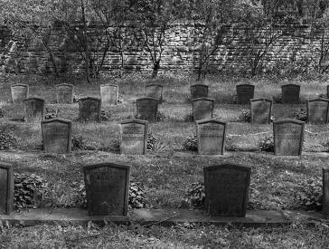 Memorial stones in rows, grass in between, a small wall in the background