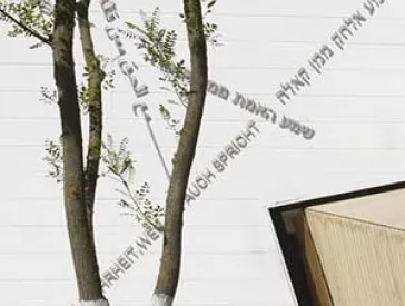 Detail of the exterior facade of the academy with a tree in the foreground.