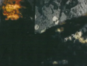 Verfremdete Fotografie eines Mannes mit erhobenen Armen.