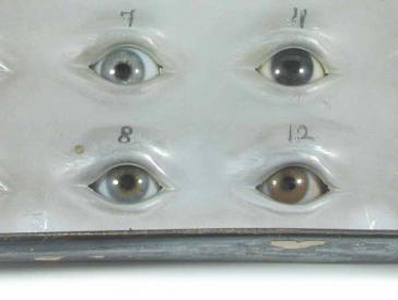 Eye table with different iris colors.