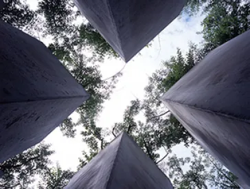 Blick in dem Himmel vom Diasporagarten aus.