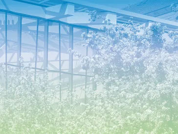 Graphic: Summery trees in front of the facade of the glass courtyard at the Jewish Museum Berlin