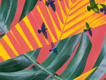 Color graphic with leaves and birds.