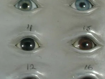 Augentabelle mit verschiedenen Irisfarben.