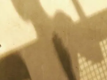 The shadow of a person on a wall.