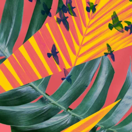 Color graphic with leaves and birds.