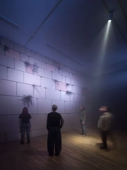 Mehrere Menschen stehen in einem gro&szlig;en Ausstellungsraum und schauen auf eine Wand, die aus einzelnen gro&szlig;en Steinen besteht. An manchen Stellen der Wand wachsen Pflanzen. 