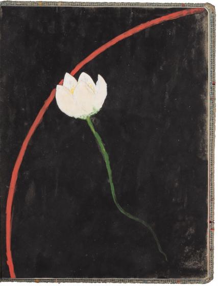 Blume mit weißer Blüte, auf schwarzem Grund, eine rotfarbige konkave Membran durchbrechend