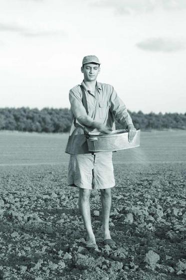 Black and white photograph of a young man in shorts and shield cap. He is standing on a freshly plowed field. He is spreading seed from a zinc tub.