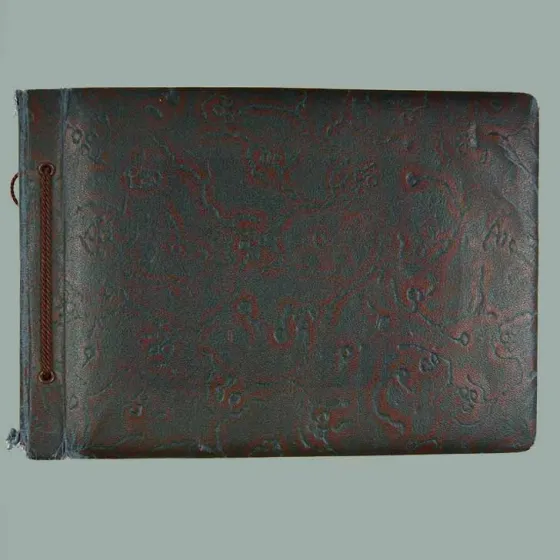 Cover of a landscape photo album with leather binding