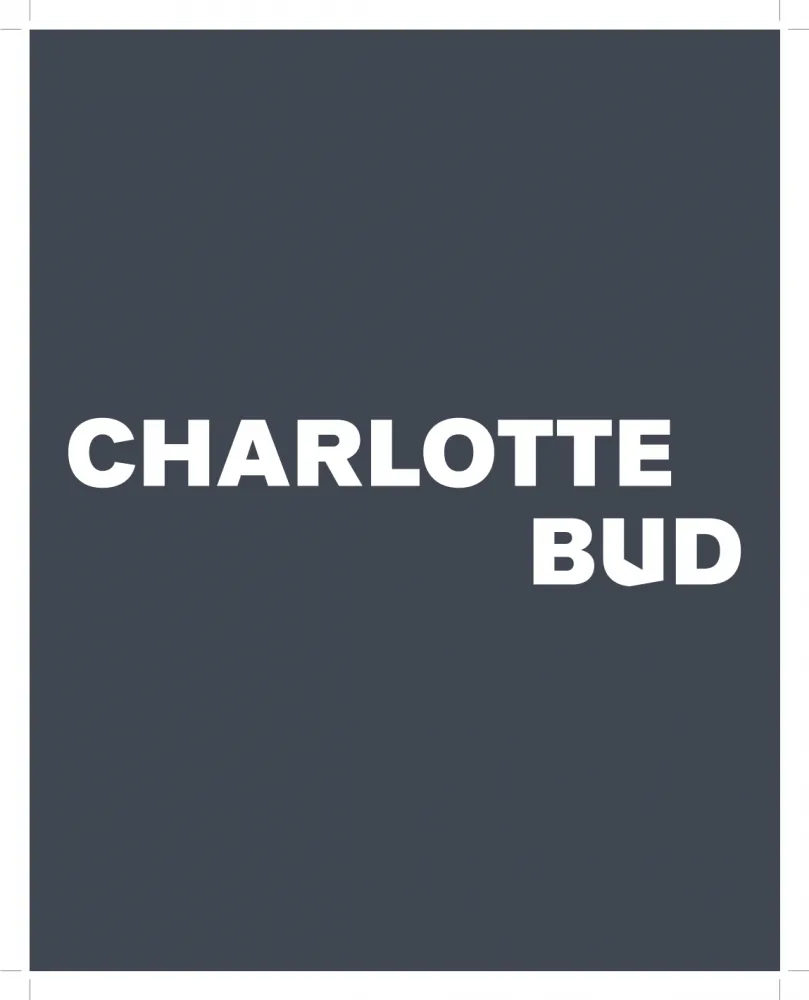 Schwarze Fläche auf der in weißen Buchstaben der Name "Charlotte Bud" steht.
