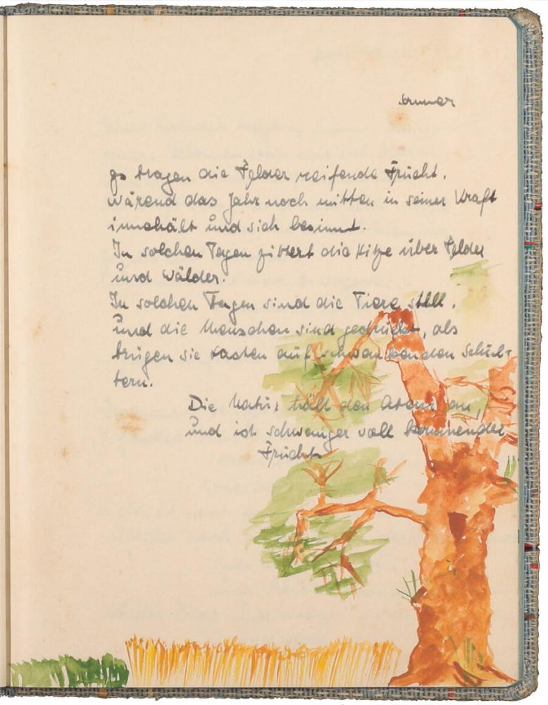 Text handwritten in ink above a color drawing of a tree and a field of gran