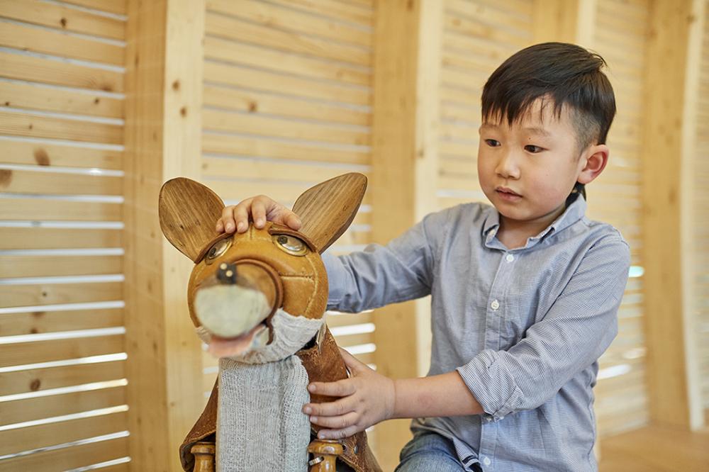Boy with one of the exhibition animals in the children's world Anoha